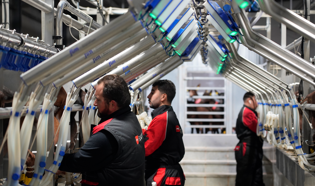 Sala de ordeño para cabras, Almendricos, (Murcia). Instalación de ordeño con medición Avanzada FLM 2x28=28 en Linea alta.