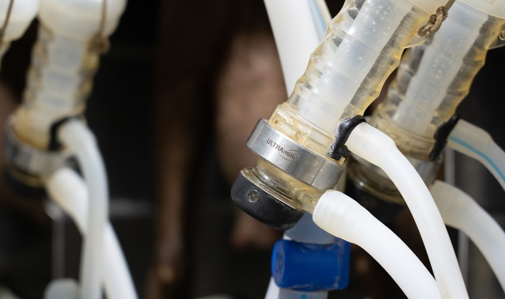 Sistema Ultramilk mini SV alterno y con pesas para un ordeño respetuoso con el animal y eficiente